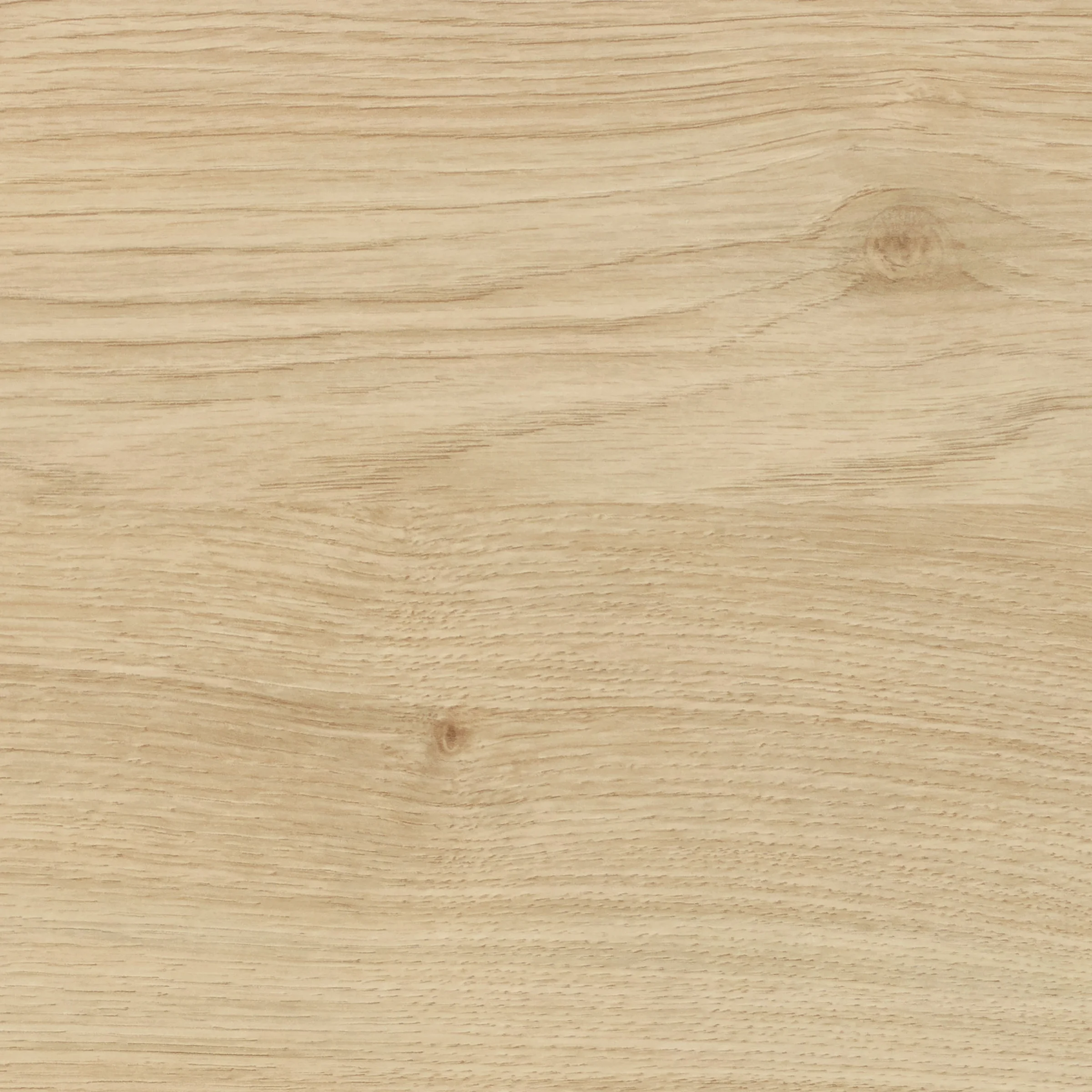 product thumbnail E27_Asteiche natur.jpg